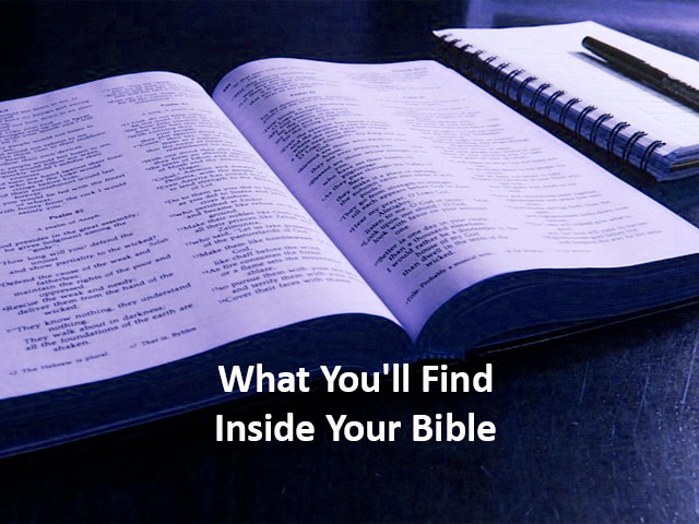 What You'll Find Inside Your Bible