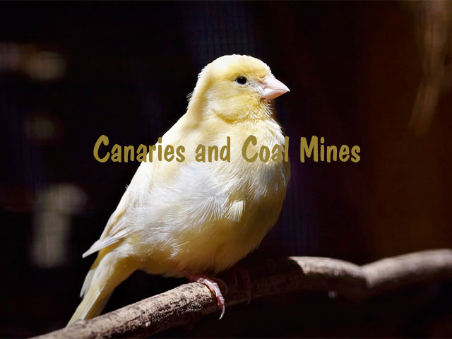 Canaries and Coal Mines