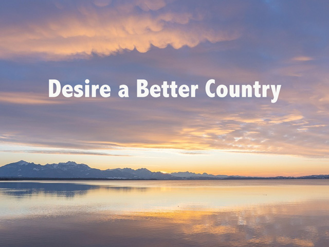 Desire a Better Country image