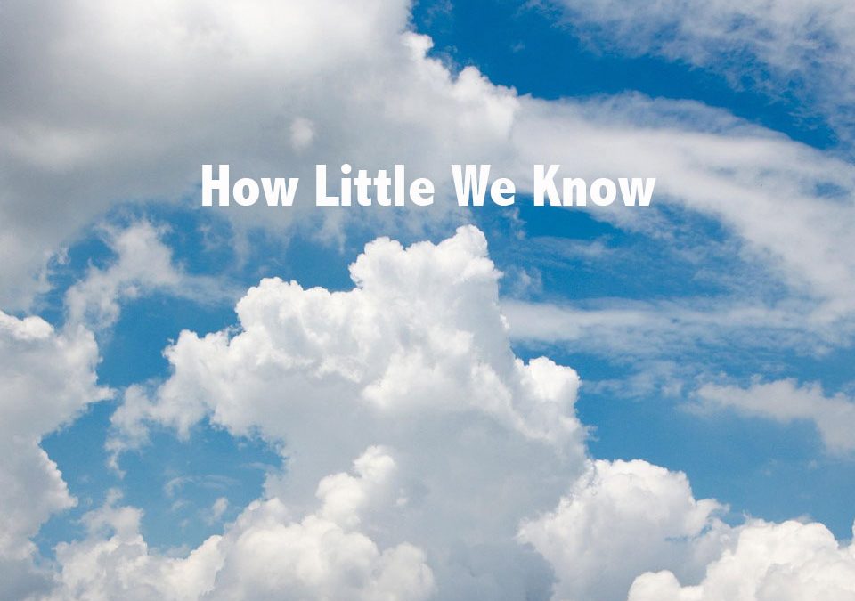 How Little We Know image