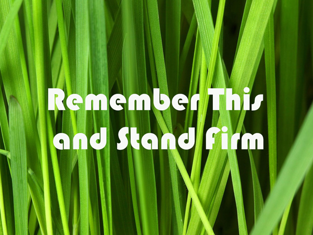 Remember This and Stand Firm